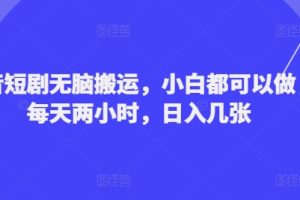 【2024.08.15】抖音短剧无脑搬运，小白都可以做，每天两小时，日入几张百度网盘免费下载-芽米宝库