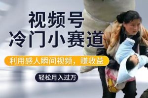 【2024.08.15】利用感人瞬间视频，赚视频号分成计划收益，操作简单，新手小白轻松上手百度网盘免费下载-芽米宝库