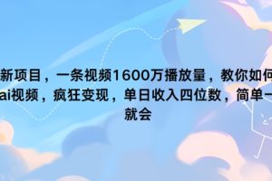【2024.08.14】最新项目，一条视频1600万播放量，教你如何利用 ai视频，疯狂变现，简单一学就会百度网盘免费下载-芽米宝库
