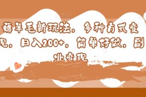 【2024.08.14】薅羊毛新玩法，多种方式变现，日入200+，简单好做，副业变现百度网盘免费下载-芽米宝库