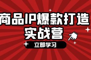 【2024.08.15】商品IP爆款打造实战营【第四期】，手把手教你打造商品IP，爆款不断百度网盘免费下载-芽米宝库
