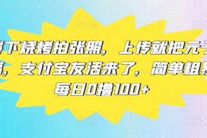 【2024.08.14】楼下烧烤拍张照，上传就把元子搞，支付宝友活来了，简单粗暴每日0撸100+百度网盘免费下载-芽米宝库