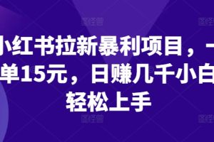 【2024.08.12】小红书拉新暴利项目，一单15元，日赚几千小白轻松上手百度网盘免费下载-芽米宝库