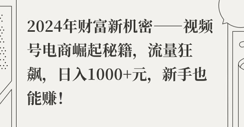 图片[1]-【2024.08.11】2024年财富新机密——视频号电商崛起秘籍，流量狂飙，日入1k元，新手也能赚百度网盘免费下载-芽米宝库