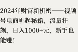 【2024.08.11】2024年财富新机密——视频号电商崛起秘籍，流量狂飙，日入1k元，新手也能赚百度网盘免费下载-芽米宝库