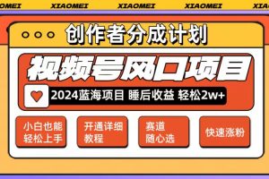 【2024.08.11】微信视频号大风口项目 轻松月入2w+ 多赛道选择，可矩阵，玩法简单轻松上手百度网盘免费下载-芽米宝库