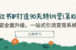 【2024.08.11】小红书-IP打造90天特训营(第10期)：内容全面升级，一站式引流变现系统课百度网盘免费下载-芽米宝库