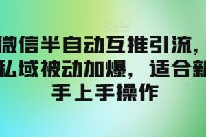 【2024.08.10】微信半自动互推引流，私域被动加爆，适合新手上手操作百度网盘免费下载-芽米宝库