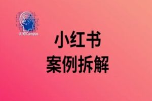 【2024.08.09】小红书案例拆解，深度解读小红书40万粉百度网盘免费下载-芽米宝库