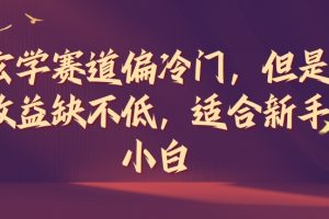 【2024.08.09】玄学赛道偏冷门，但是收益缺不低，适合新手小白百度网盘免费下载-芽米宝库