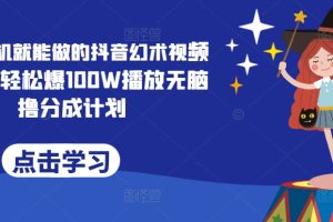 【2024.08.08】一部手机就能做的抖音幻术视频项目，轻松爆100W播放无脑撸分成计划百度网盘免费下载-芽米宝库
