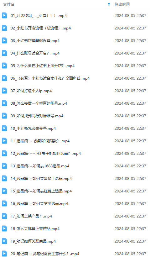 图片[2]-【2024.08.07】2024小红书电商实战课：全体系打造 全方位梳理 小红书电商逻辑体系 (42节)百度网盘免费下载-芽米宝库