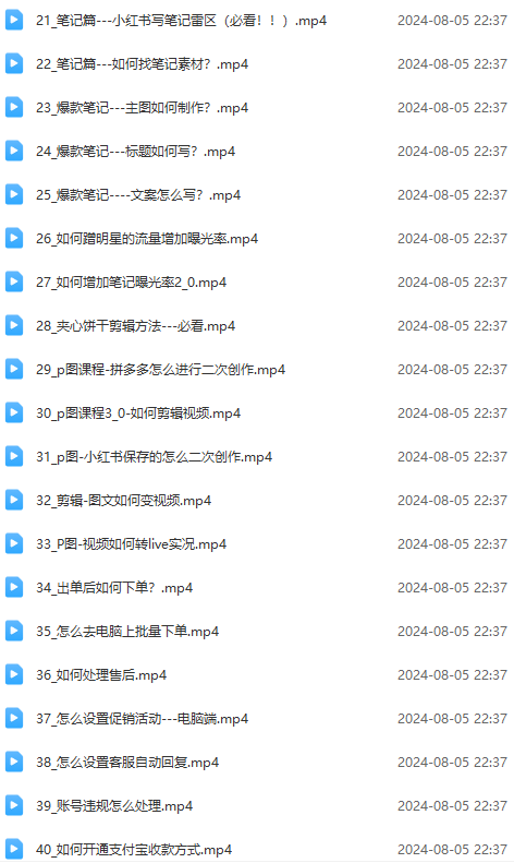 图片[3]-【2024.08.07】2024小红书电商实战课：全体系打造 全方位梳理 小红书电商逻辑体系 (42节)百度网盘免费下载-芽米宝库