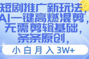 【2024.08.06】短剧推广新玩法，AI一键高燃混剪，无需剪辑基础，条条原创，小白月入3W+百度网盘免费下载-芽米宝库
