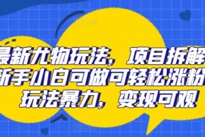 【2024.08.06】最新尤物玩法，项目拆解，新手小白可做可轻松涨粉，玩法暴力，变现可观百度网盘免费下载-芽米宝库