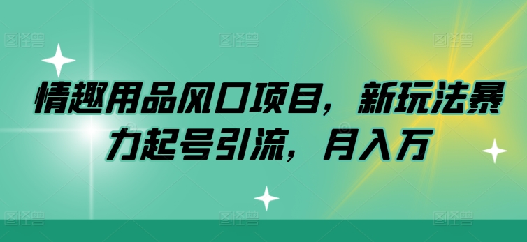 图片[1]-【2024.08.06】情趣用品风口项目，新玩法暴力起号引流，月入万元百度网盘免费下载-芽米宝库