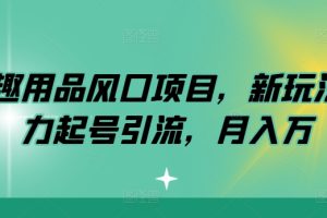 【2024.08.06】情趣用品风口项目，新玩法暴力起号引流，月入万元百度网盘免费下载-芽米宝库
