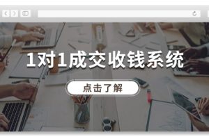 【2024.08.03】1对1成交收钱系统，十年专注于引流和成交，全网130万+粉丝百度网盘免费下载-芽米宝库