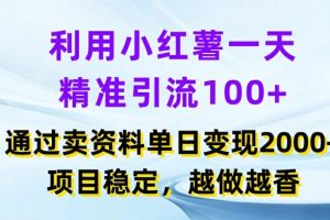 【2024.08.02】利用小红书一天精准引流100+，通过卖项目单日变现2k+，项目稳定，越做越香百度网盘免费下载-芽米宝库