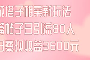 【2024.08.01】同城搭子相亲新玩法，一篇帖子引流80人，当日变现3600元百度网盘免费下载-芽米宝库