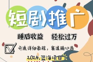 【2024.07.31】拥有睡眠收益的短剧推广大风口项目，十分钟学会，多赛道选择，月入五位数百度网盘免费下载-芽米宝库