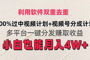 【2024.07.30】利用软件双重去重，100%过中视频+视频号分成计划小白也可以月入4W+百度网盘免费下载-芽米宝库