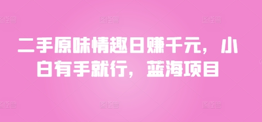 图片[1]-【2024.07.28】二手原味情趣日赚千元，小白有手就行，蓝海项目百度网盘免费下载-芽米宝库