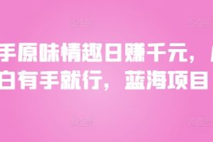 【2024.07.28】二手原味情趣日赚千元，小白有手就行，蓝海项目百度网盘免费下载-芽米宝库