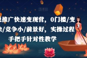【2024.07.27】小说推广快速变现营，0门槛/变现快/竞争小/前景好，实操过程手把手针对性教学百度网盘免费下载-芽米宝库