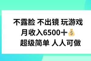 【2024.07.27】不露脸 不出境 玩游戏，月入6500 超级简单 人人可做百度网盘免费下载-芽米宝库