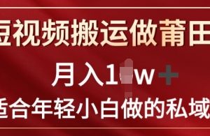 【2024.07.25】靠短视频搬运做莆田鞋月入1w+简单暴利，最适合年轻小白做的私域变现项目百度网盘免费下载-芽米宝库