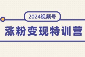 【2024.07.26】2024视频号-涨粉变现特训营：一站式打造稳定视频号涨粉变现模式（10节）百度网盘免费下载-芽米宝库