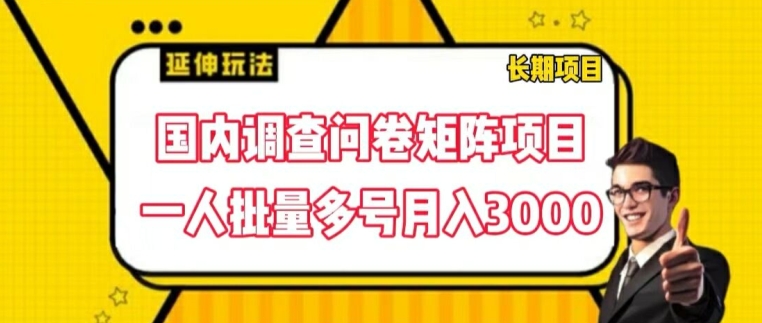 图片[1]-【2024.07.24】国内调查问卷矩阵项目，一人批量多号月入3000百度网盘免费下载-芽米宝库