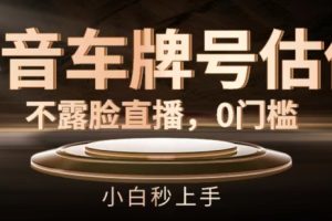 【2024.07.23】抖音车牌号估值，不露脸直播，0门槛，小白秒上手百度网盘免费下载-芽米宝库