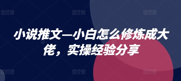 图片[1]-【2024.07.23】小说推文—小白怎么修炼成大佬，实操经验分享百度网盘免费下载-芽米宝库