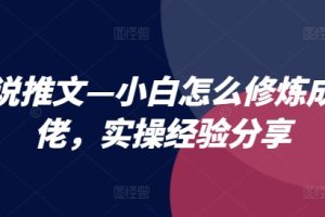 【2024.07.23】小说推文—小白怎么修炼成大佬，实操经验分享百度网盘免费下载-芽米宝库