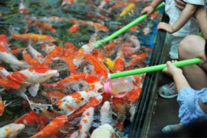 【2024.07.23】火了很多年，月利润3W+的暴利项目百度网盘免费下载-芽米宝库