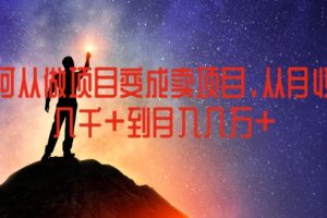 【2024.07.21】如何从做项目变成卖项目，从月收入几千到月入几万百度网盘免费下载-芽米宝库