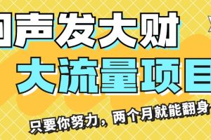 【2024.07.20】闷声发大财，大流量项目，月收益过3万，只要你努力，两个月就能翻身百度网盘免费下载-芽米宝库