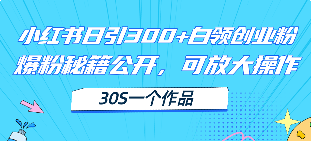 图片[1]-【2024.07.20】小红书日引300+高质白领创业粉，可放大操作，爆粉秘籍！30s一个作品百度网盘免费下载-芽米宝库