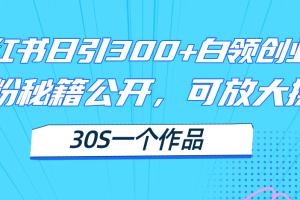 【2024.07.20】小红书日引300+高质白领创业粉，可放大操作，爆粉秘籍！30s一个作品百度网盘免费下载-芽米宝库