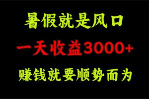 【2024.07.20】一天收益3000+ 赚钱就是顺势而为，暑假就是风口百度网盘免费下载-芽米宝库