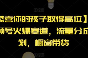 【2024.07.19】【恭喜你的孩子取得高位】AI视频号火爆赛道，流量分成计划，橱窗带货百度网盘免费下载-芽米宝库
