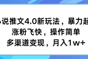 【2024.07.19】小说推文4.0新玩法，暴力起号，涨粉飞快，操作简单，多渠道变现，月入1w+百度网盘免费下载-芽米宝库