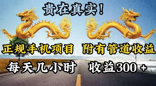图片[1]-【2024.07.19】正规手机项目，附有丰富的管道收益，每天几小时，收益300百度网盘免费下载-芽米宝库