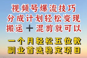 【2024.07.18】视频号爆流技巧，分成计划轻松变现，搬运 +混剪就可以，一个月轻松五位数稳定项目百度网盘免费下载-芽米宝库