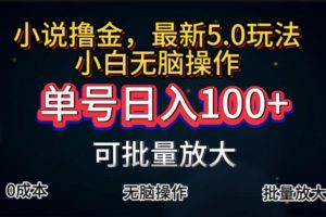 【2024.07.17】全自动小说撸金，单号日入100+小白轻松上手，无脑操作百度网盘免费下载-芽米宝库
