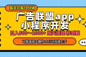 【2024.07.17】小程序开发 广告赚钱 日入500~1000+ 小白轻松上手百度网盘免费下载-芽米宝库