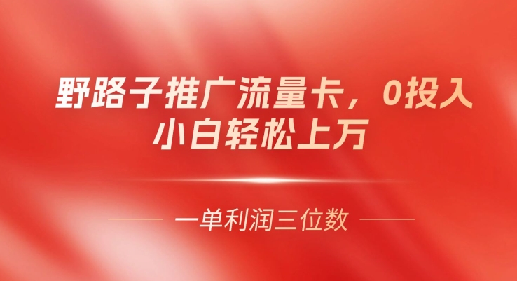 图片[1]-【2024.07.17】野路子推广流量卡，一单利润上百，0投入，小白轻松上万百度网盘免费下载-芽米宝库