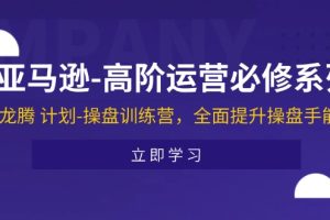 【2024.07.16】亚马逊高阶运营必修系列，龙腾 计划-操盘训练营，全面提升操盘手能力百度网盘免费下载-芽米宝库